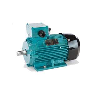 گرند موتور ( معصومی ) نمایندگی الکتروموتور بروک کرامپتون Brook Crompton